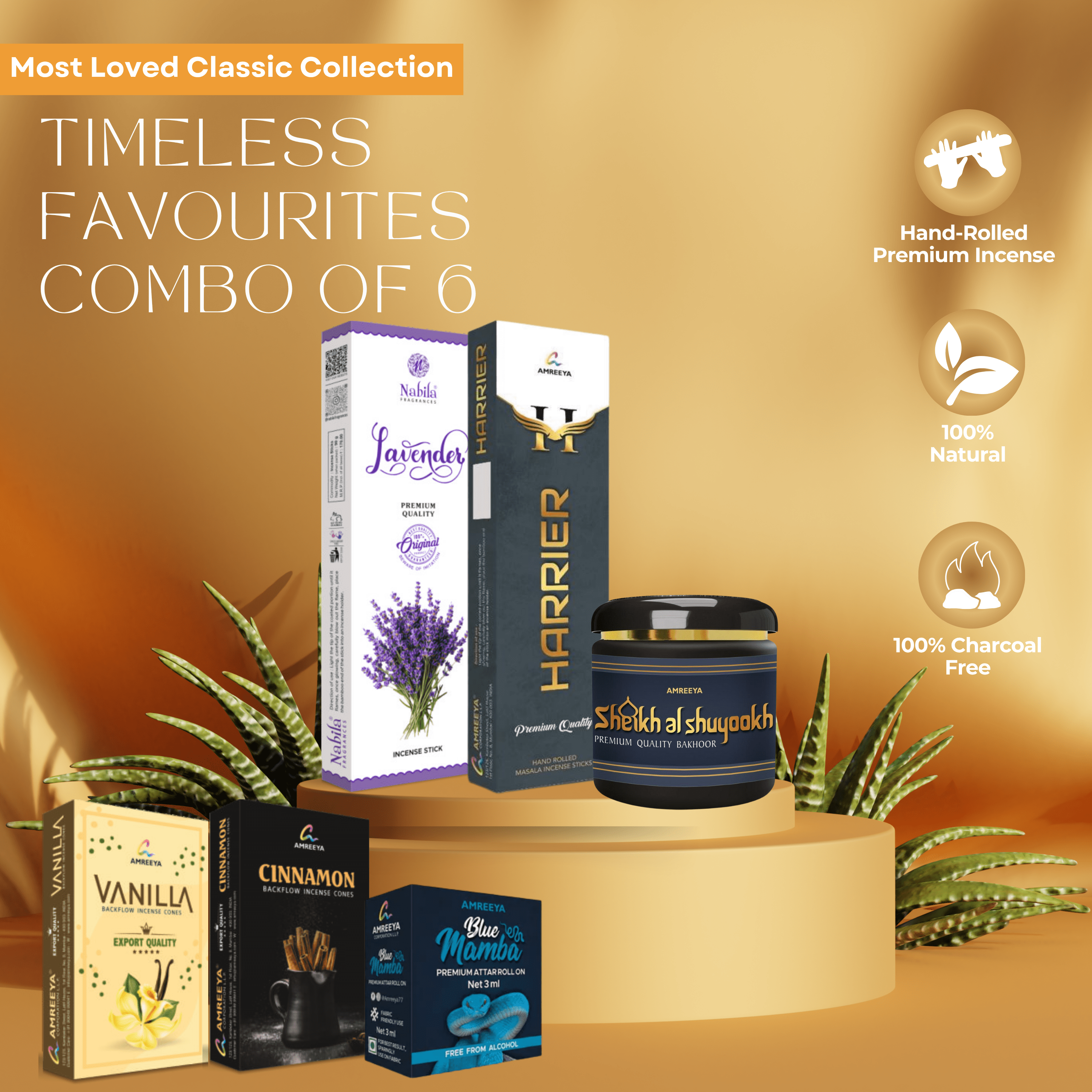 Amreeya Timeless Favourites – Most Loved Classic Collection Pack of 6