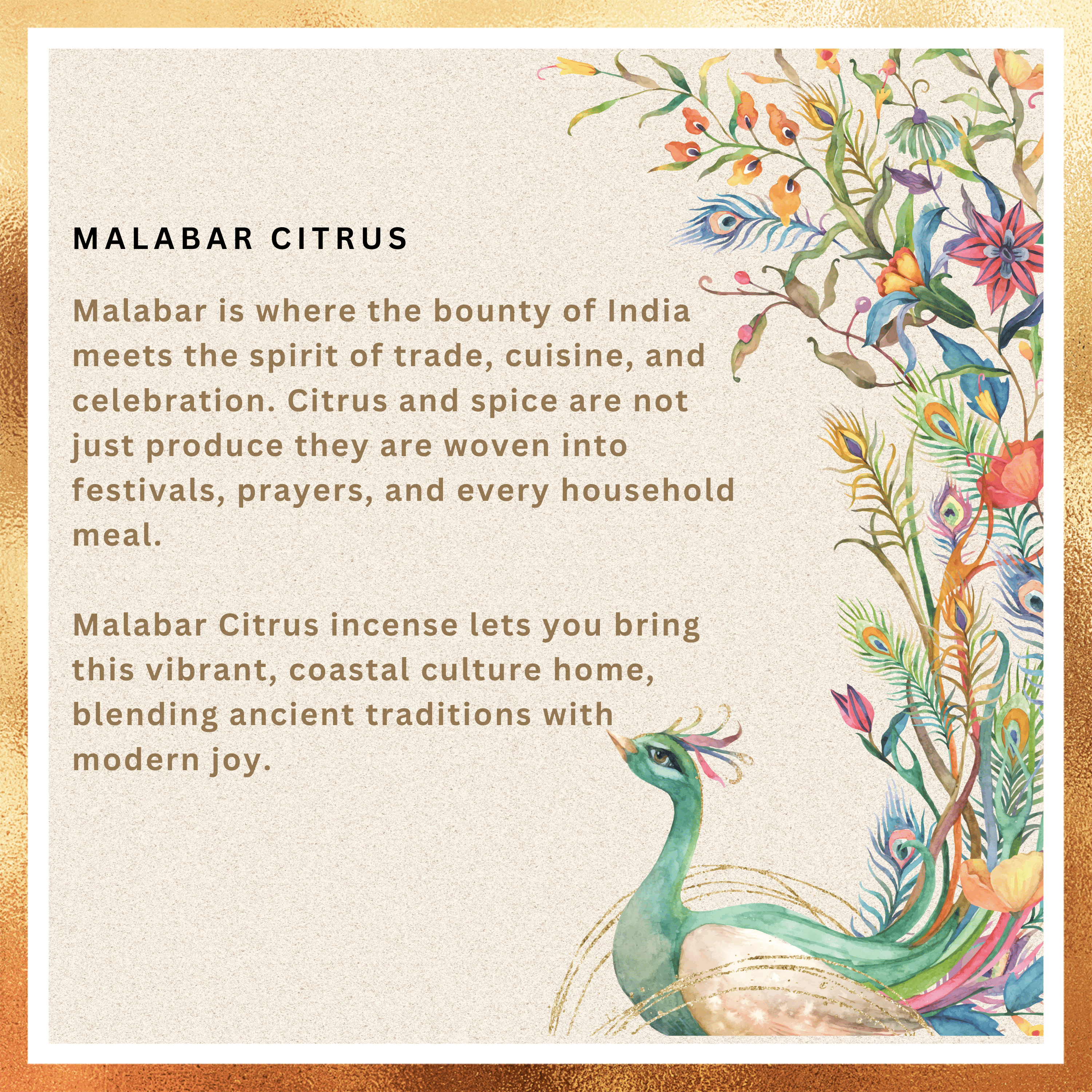 Amreeya Rasa Veda Collection – Malabar Citrus Premium Fruity Incense Sticks - Pack of 2