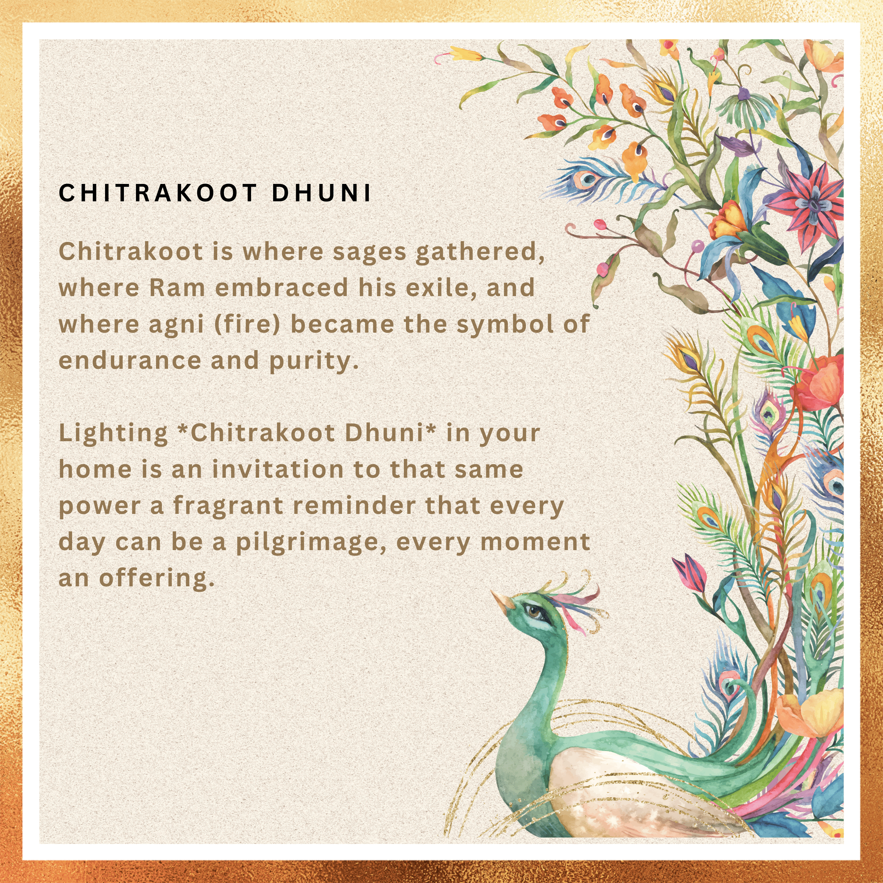 Amreeya Sacred Earth Collection – Chitrakoot Dhuni Bambooless Dhoop Sticks - 40 Grm